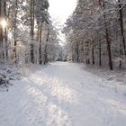 Schnee-Weg