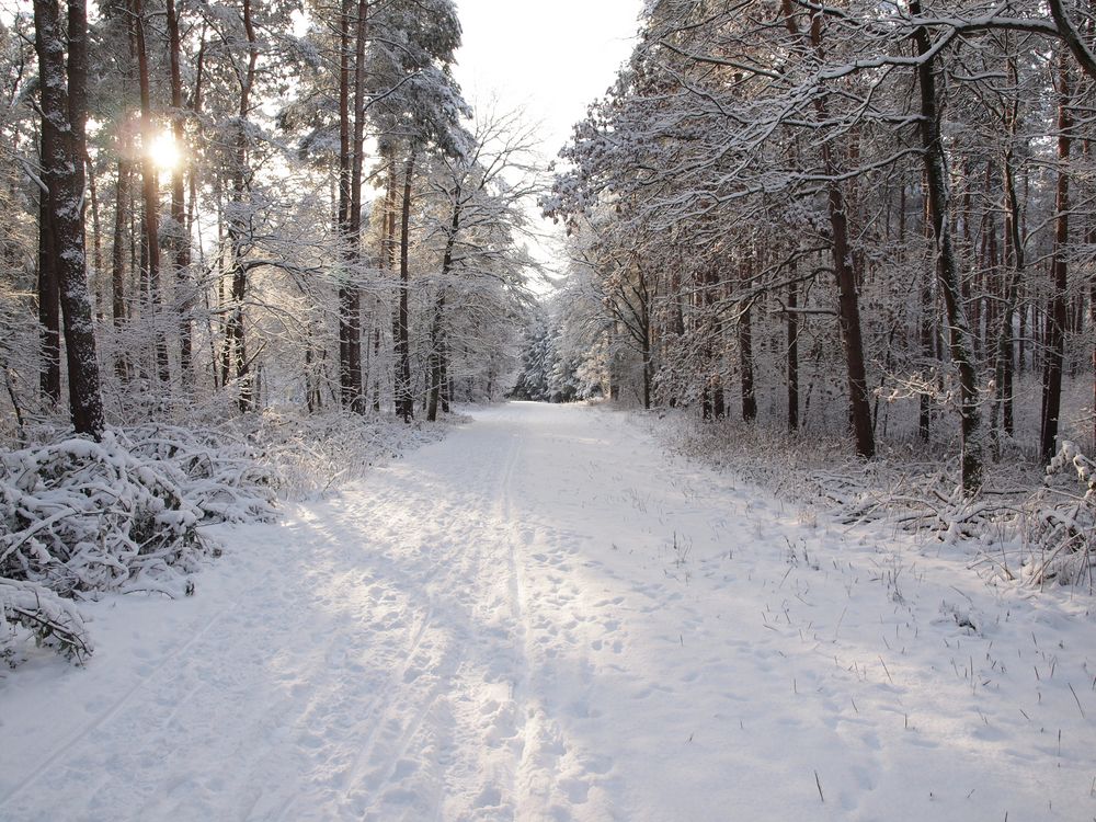 Schnee-Weg Foto & Bild  landschaft, natur Bilder auf fotocommunity