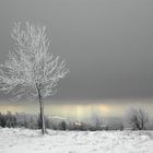 Schnee-weiß vor Himmel-grau