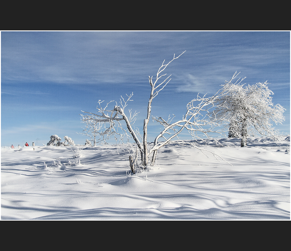 Schnee-Wellen