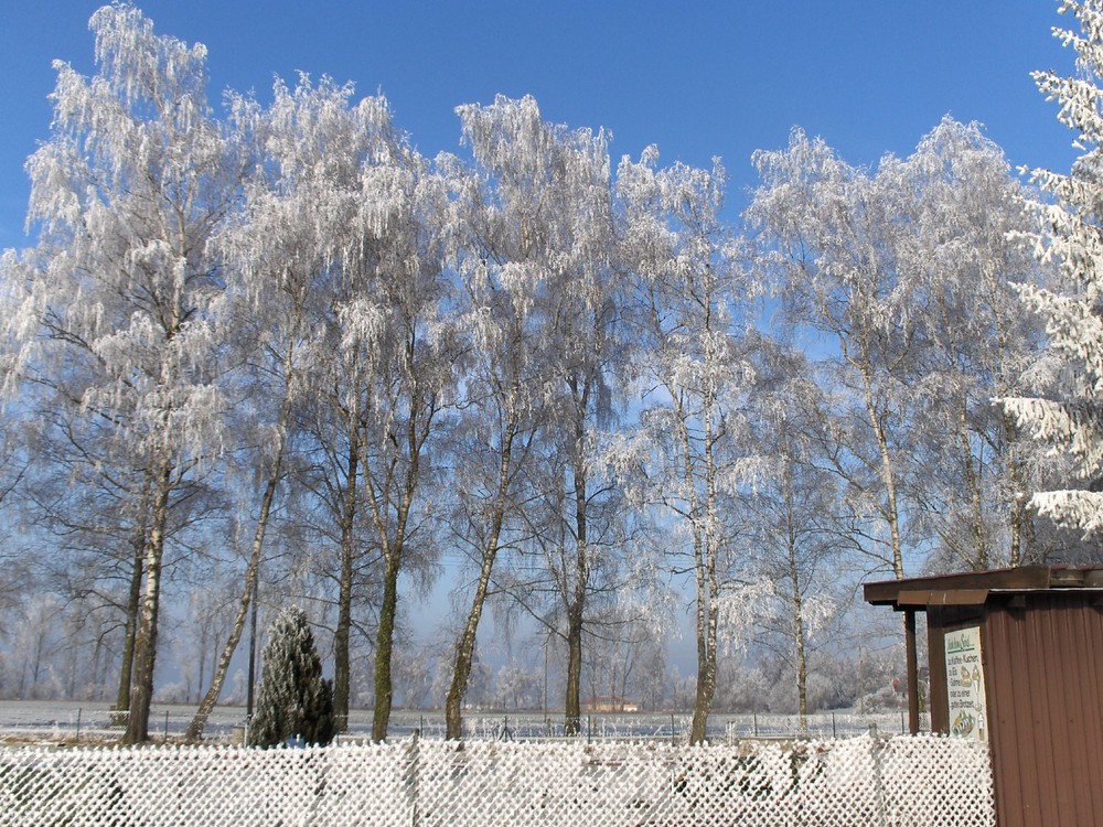 Schnee wie Puderzucker