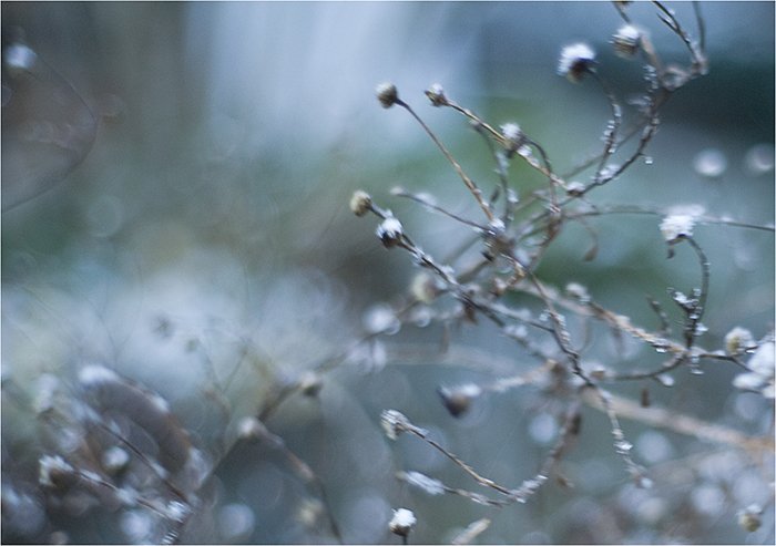 schnee-wind