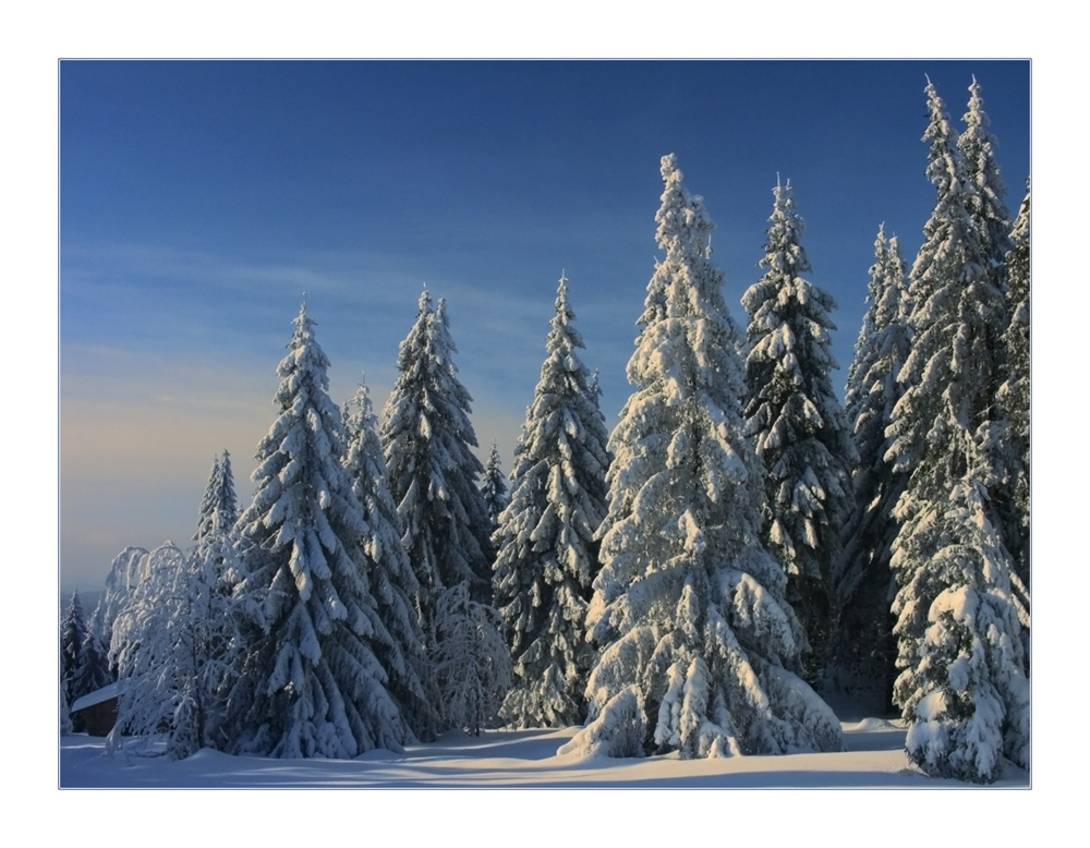 Schnee-Winter-Paradies am Sonnenberg... -