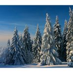 Schnee-Winter-Paradies am Sonnenberg... -