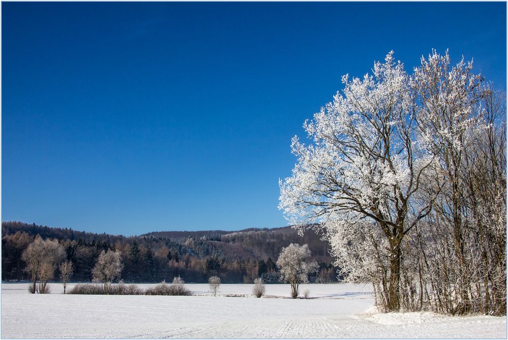 Schnee-winterlich blau-weiß - Erinnerungen... 