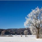 Schnee-winterlich blau-weiß - Erinnerungen... 