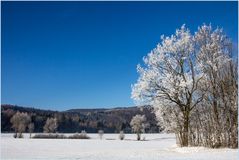 Schnee-winterlich blau-weiß - Erinnerungen... 