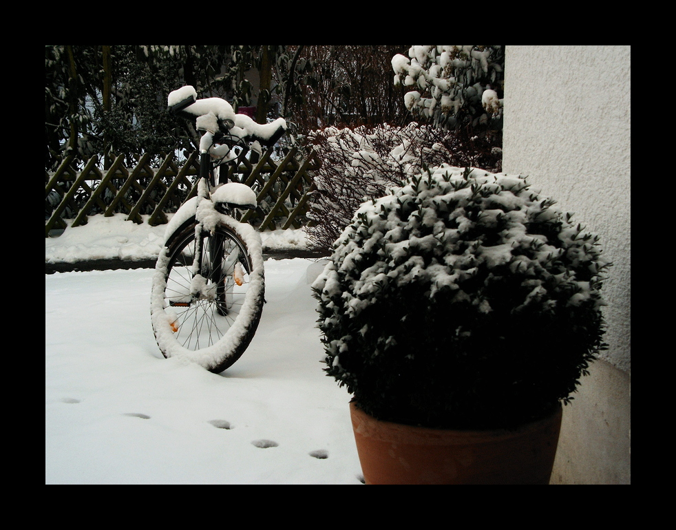 *** Schnee-Wunsch für diesen Winter ***