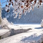 Schnee, zärtliche Grüße der Engel