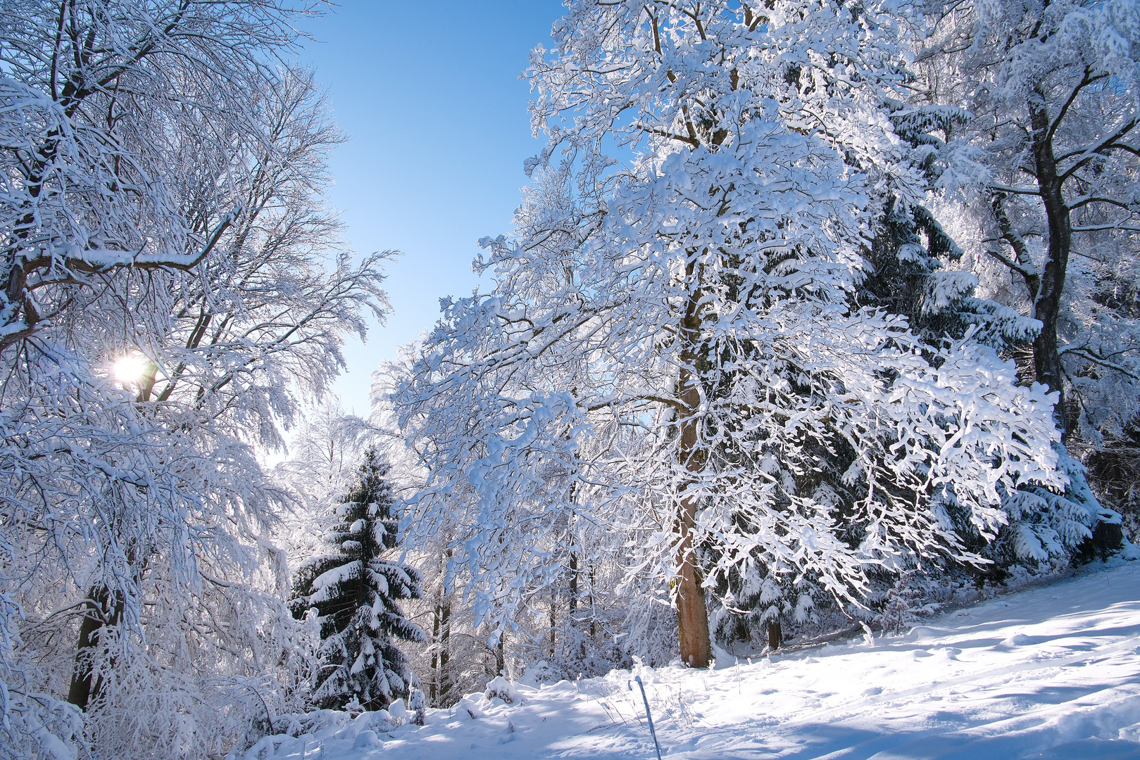 Schnee Zauber