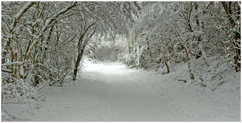 Schnee zu Weihnachten ?