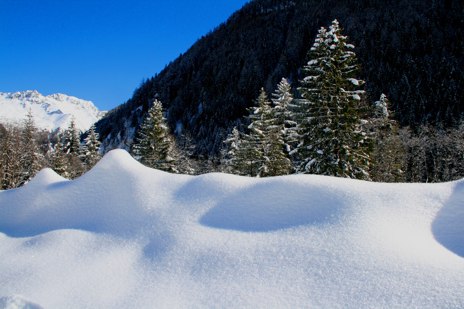 Schnee zum Greifen nahe