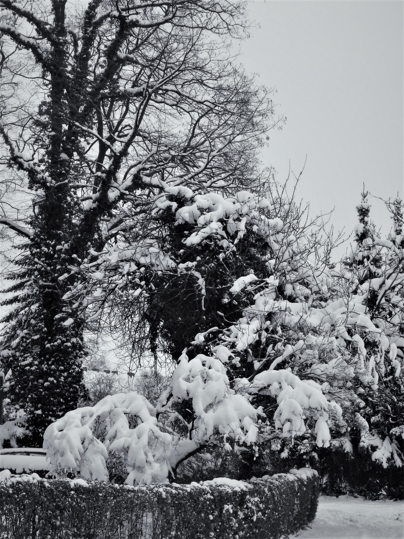 Schnee zum Jahreswechsel 2010 / 2011 in Münster