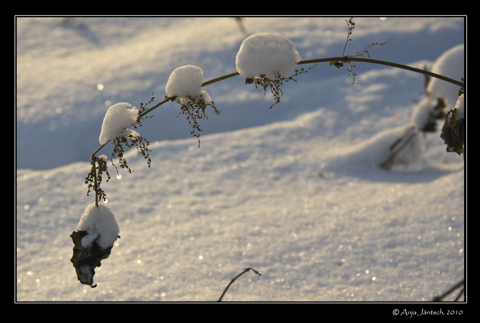 Schnee2