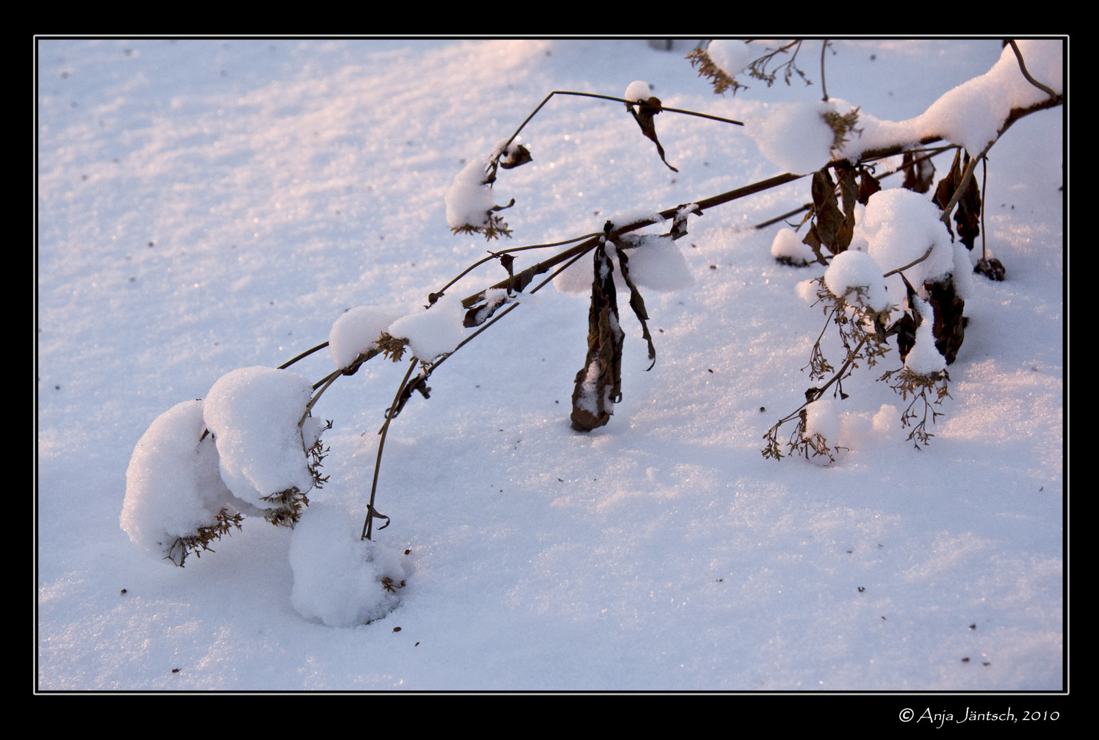 Schnee3