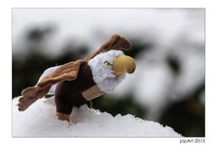 Schneeadler...