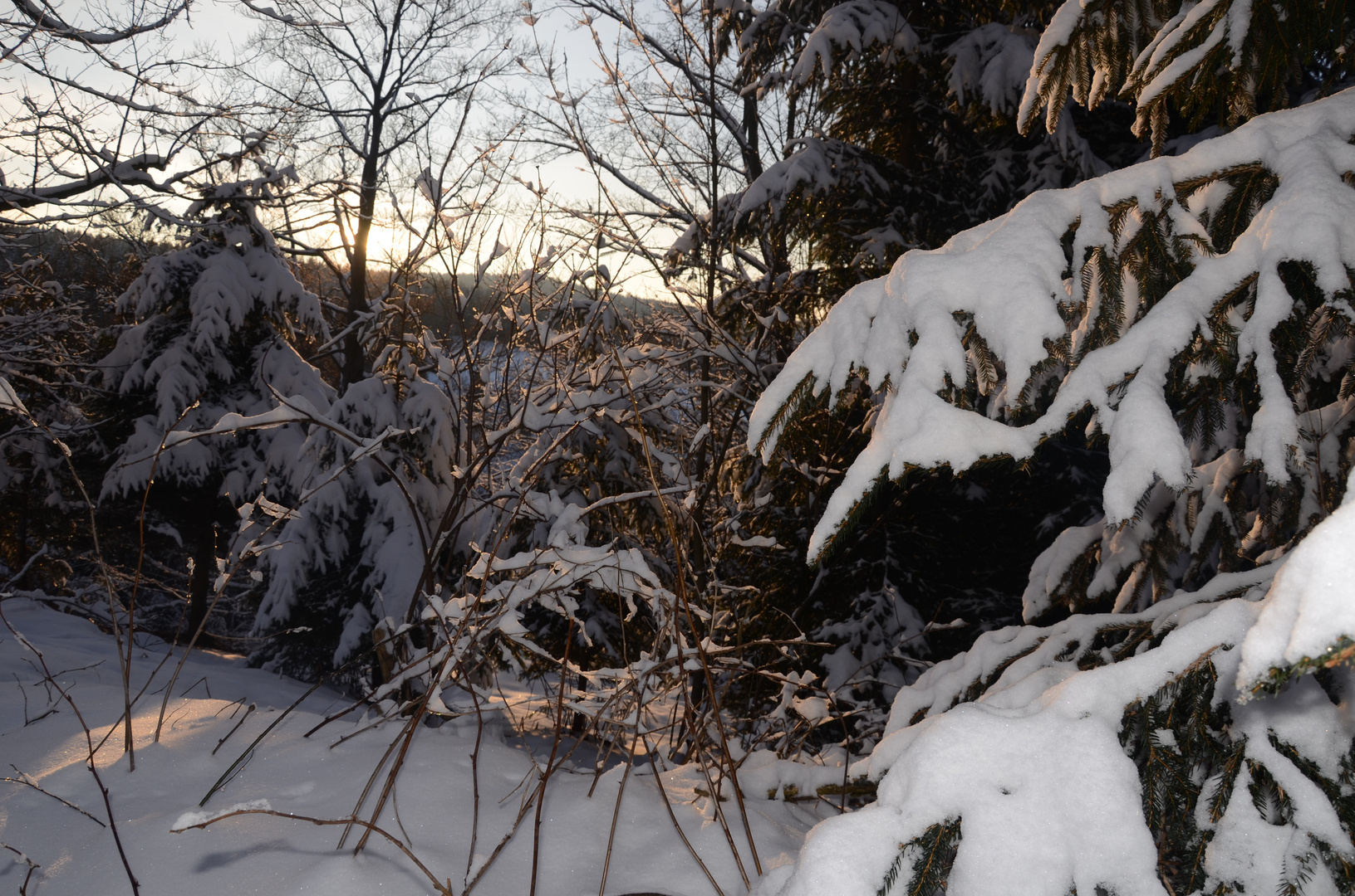 Schneeäste