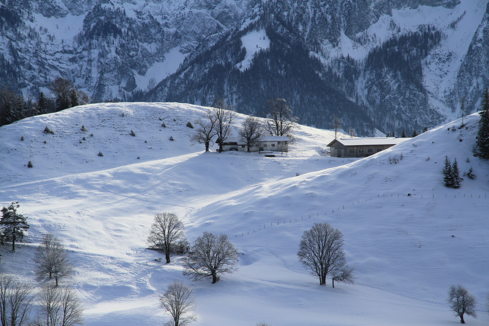 Schneealpe