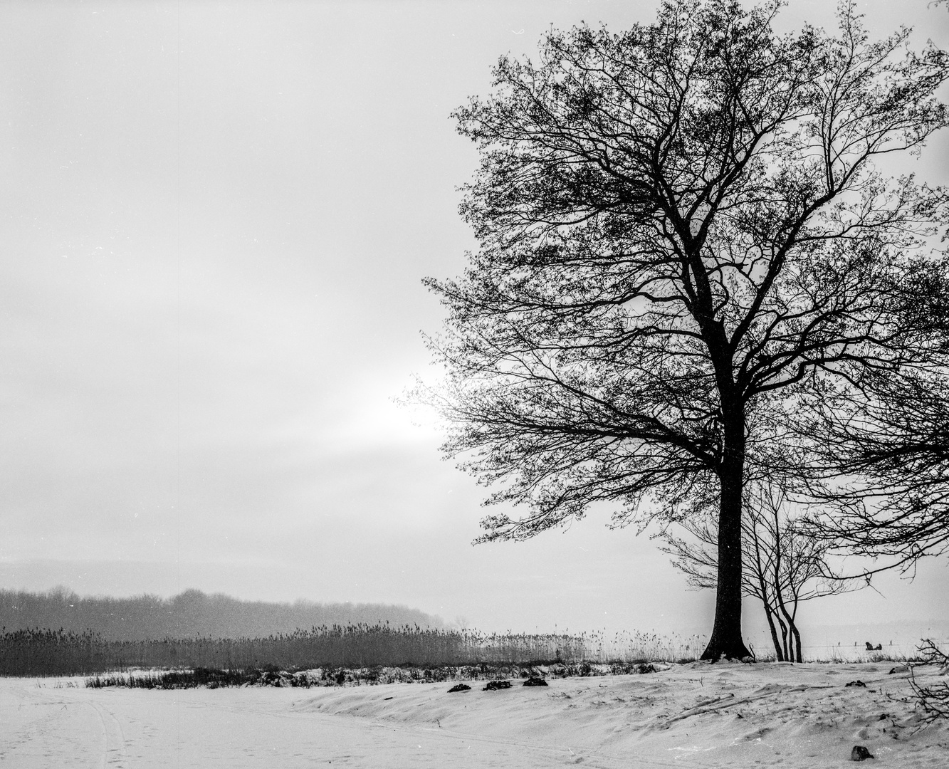 Schnee_am_See