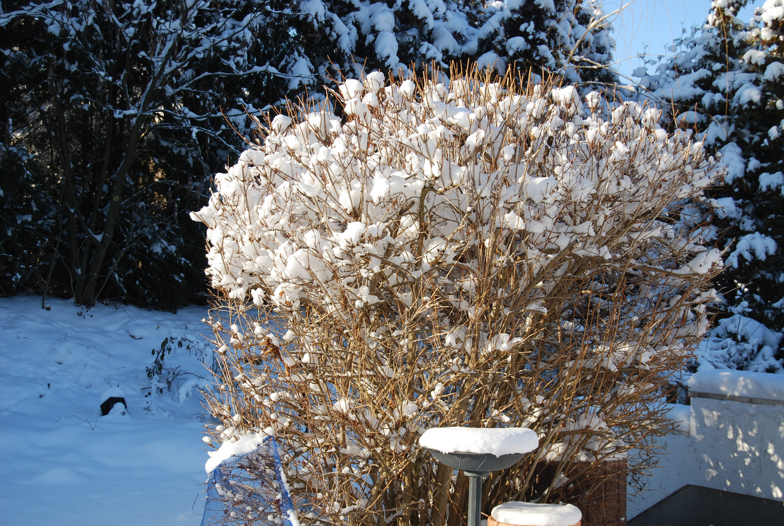 Schneebälle