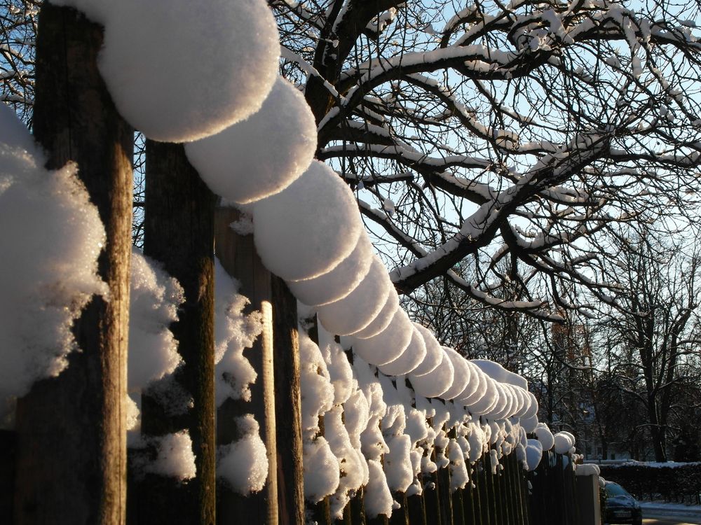 Schneebälle der besonderen Art