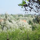 Schneebälle im April :-)