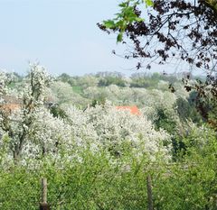 Schneebälle im April :-)