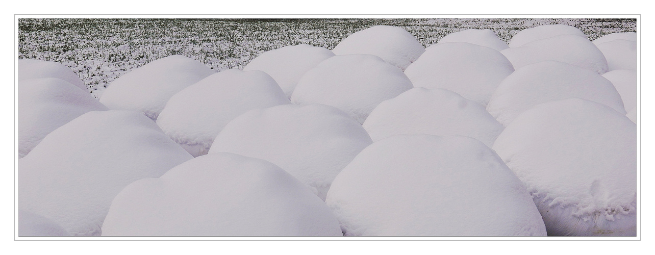 Schneebälle im Land der Riesen.