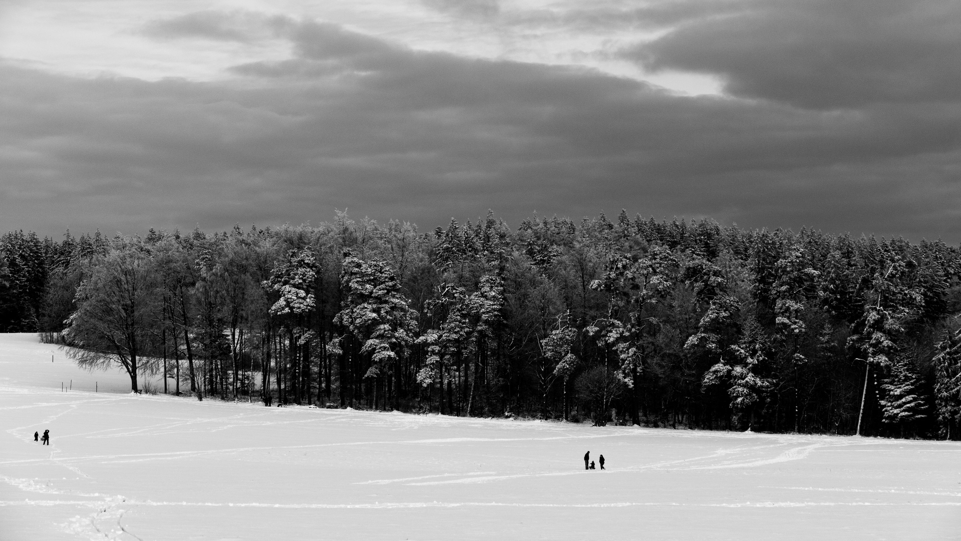 Schnee,Bäume