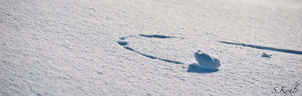 Schneeball