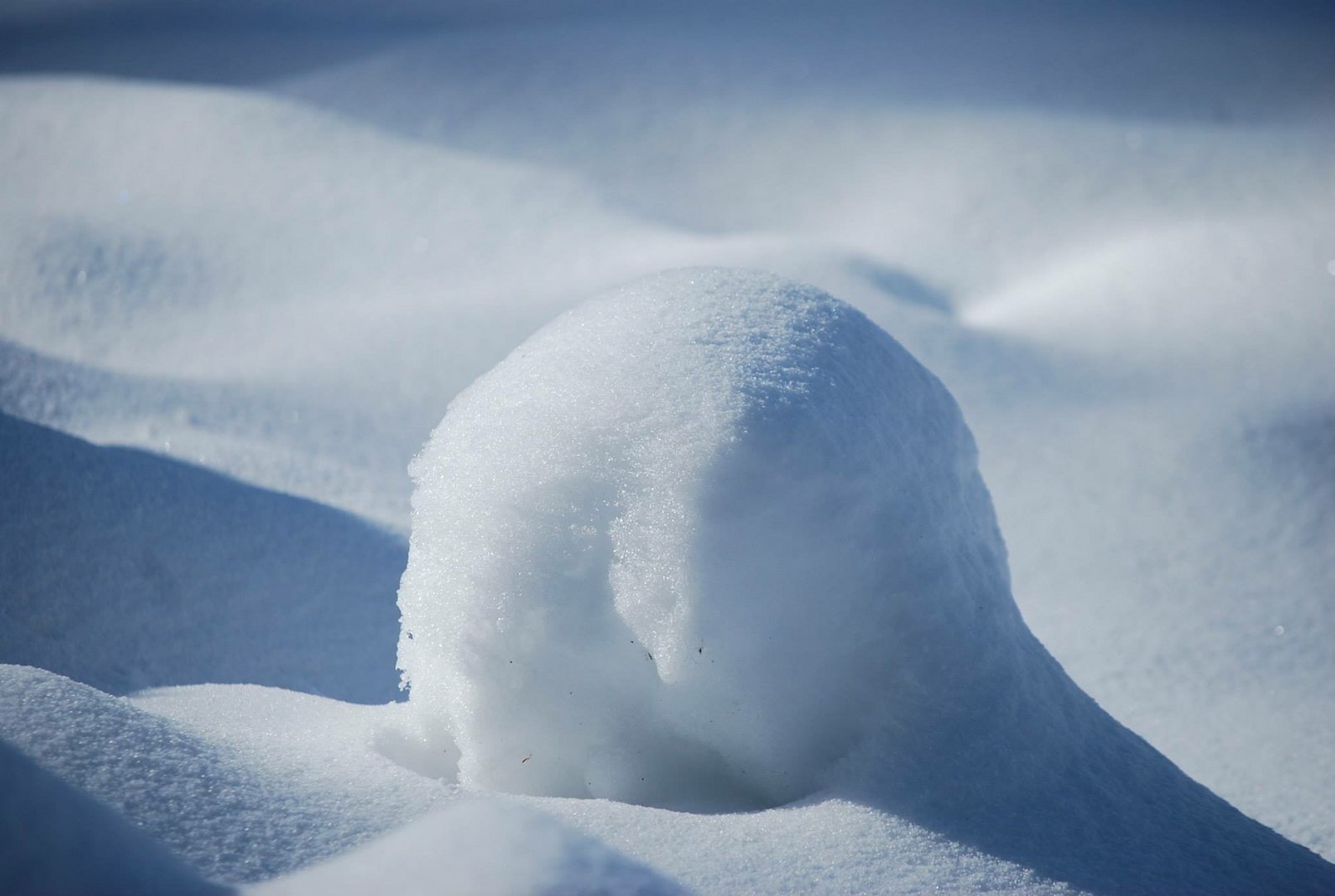 Schneeball