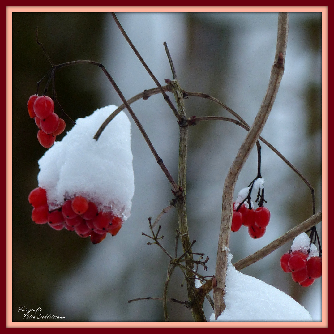 °°°° Schneeball mit Mütze °°°°