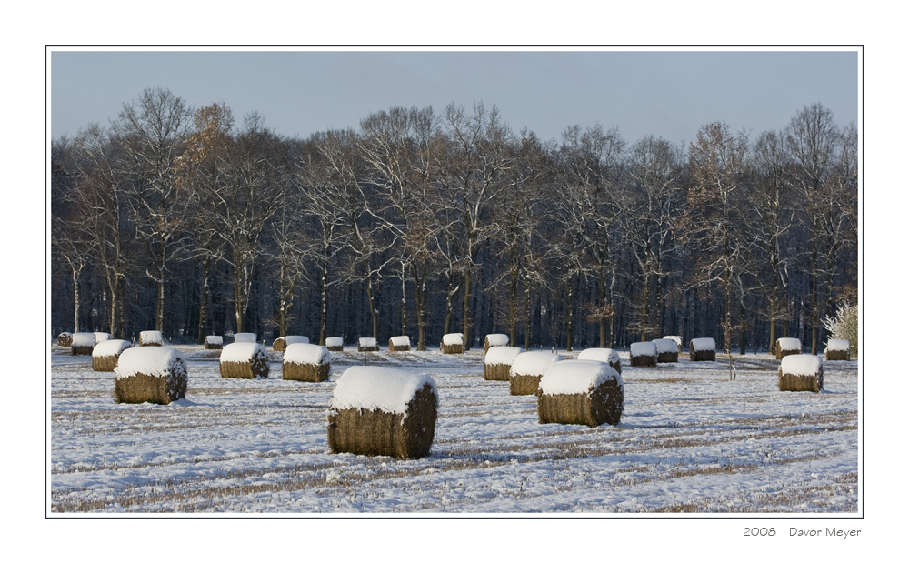 Schneeballen