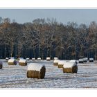 Schneeballen