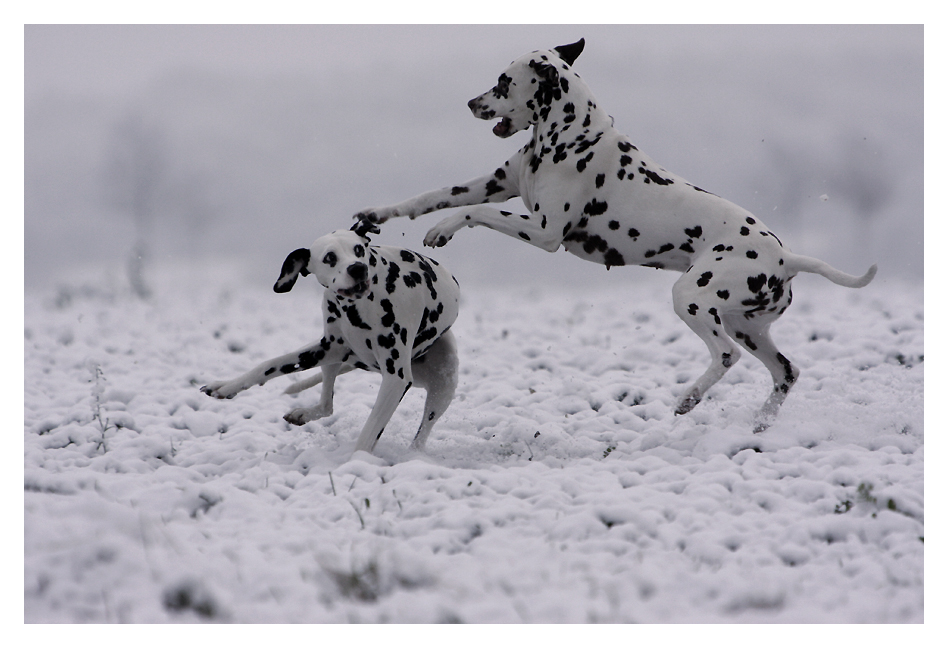 Schneeballett