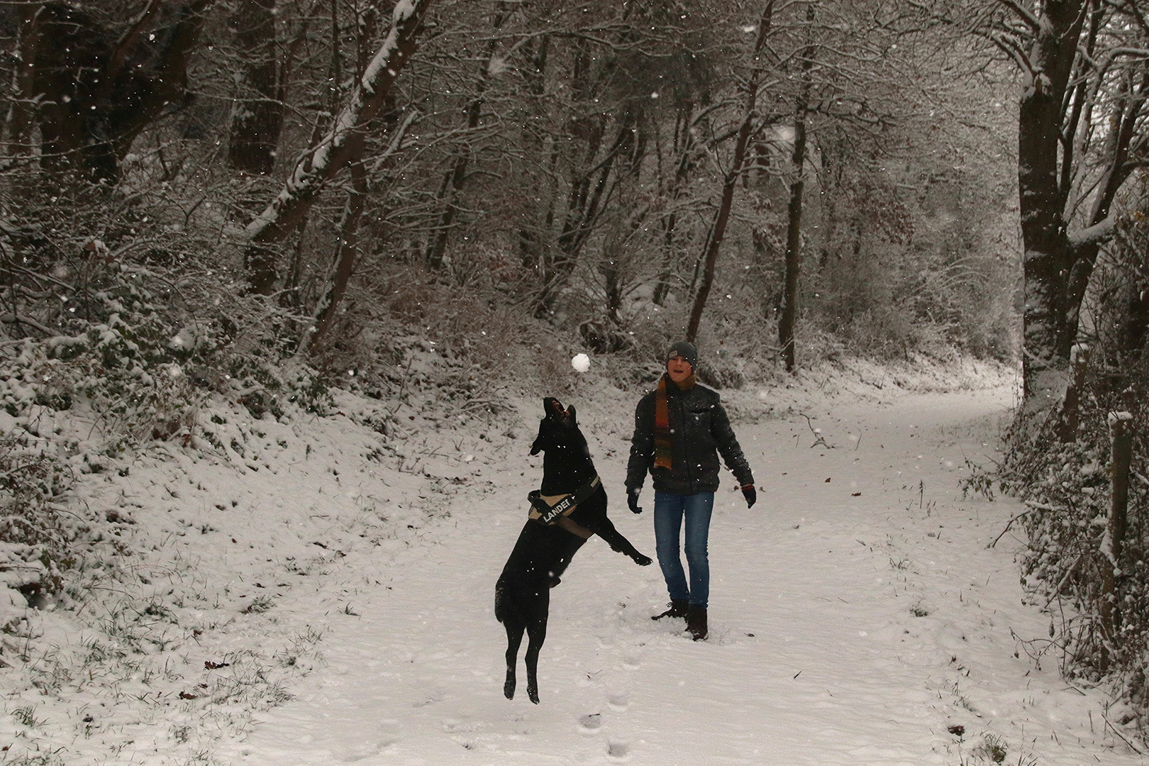 Schneeballfangsprung