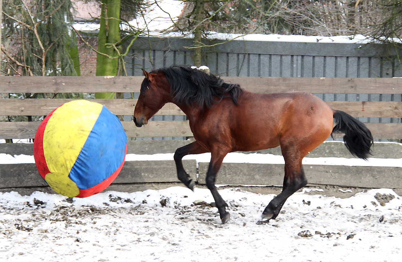 Schneeballspiel