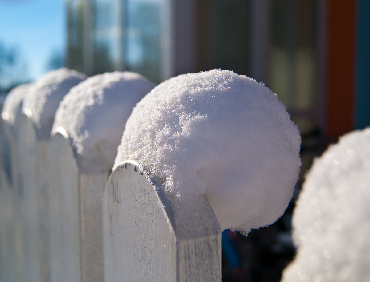 Schneeballzaun