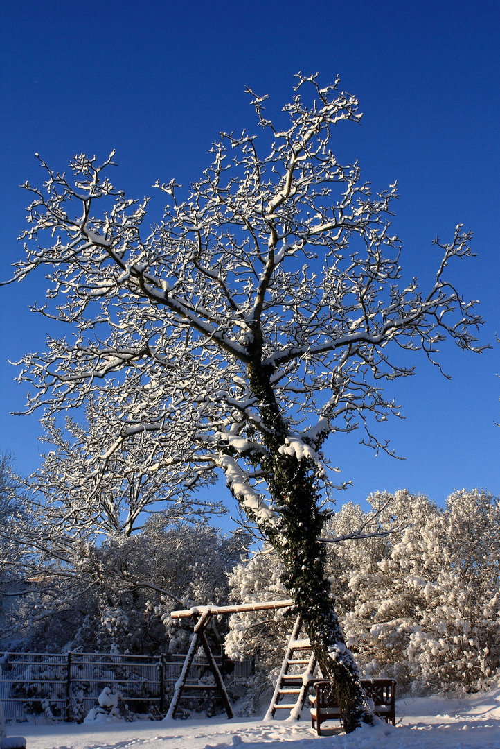 Schneebaum