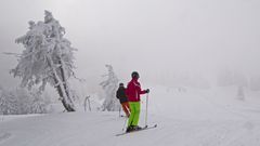 Schneebaum mit Farbe