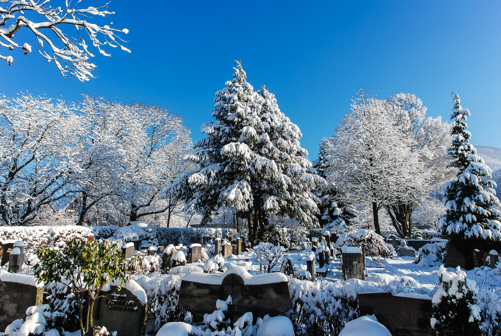 Schneebedeckt