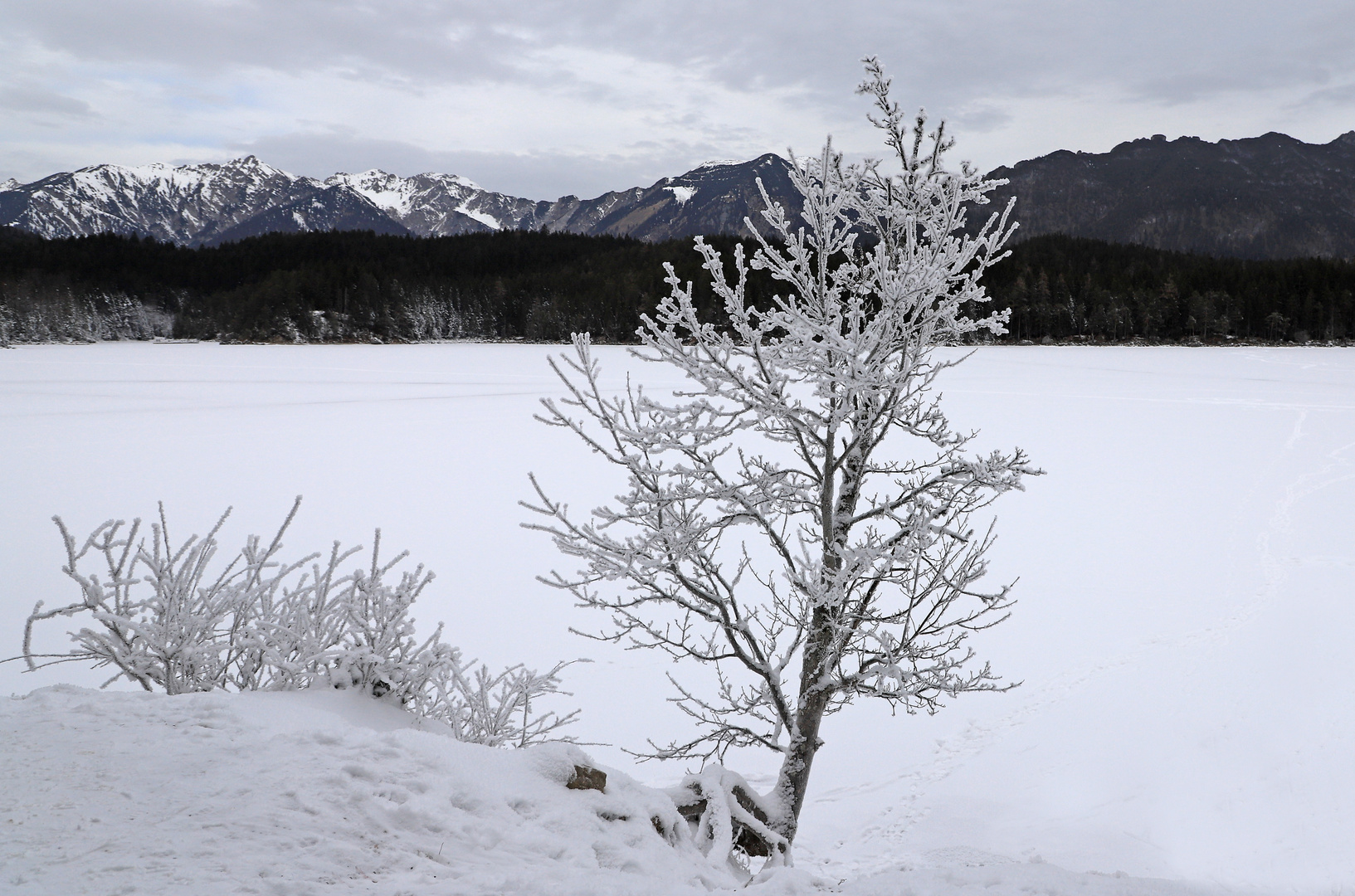 Schneebedeckt