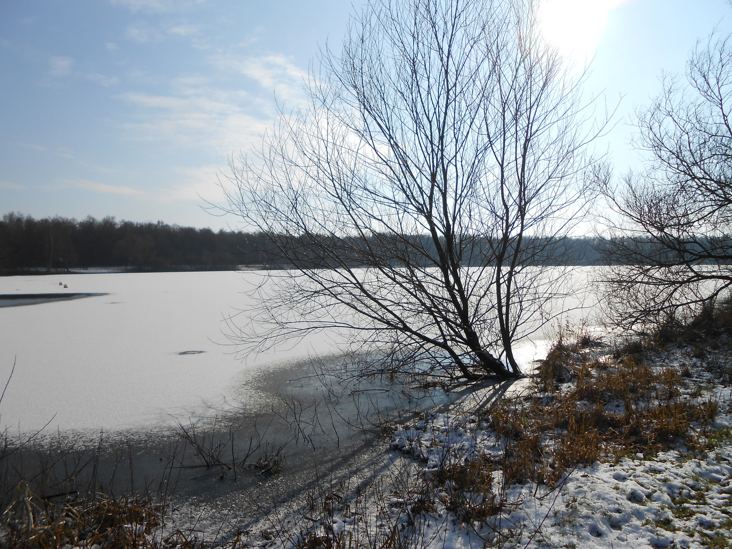 Schneebedeckt