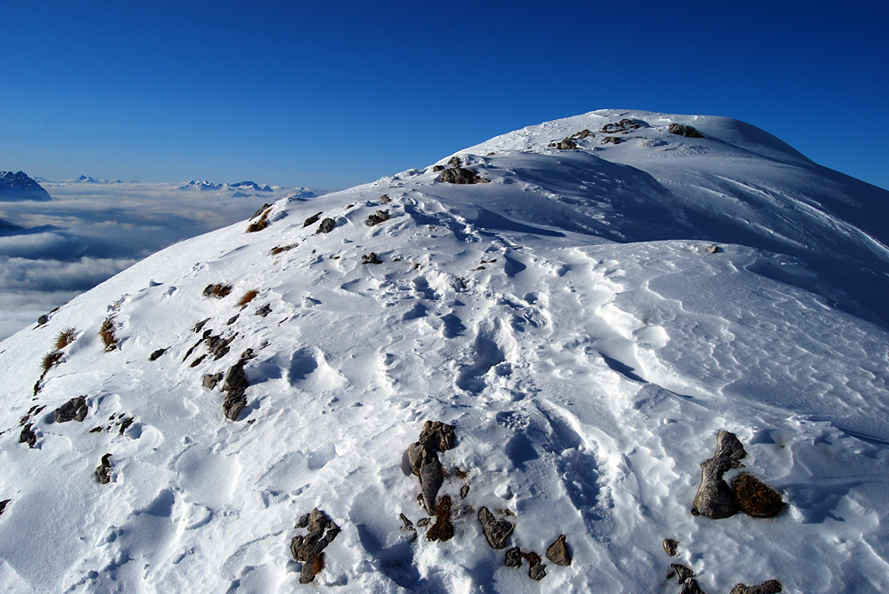 schneebedeckt