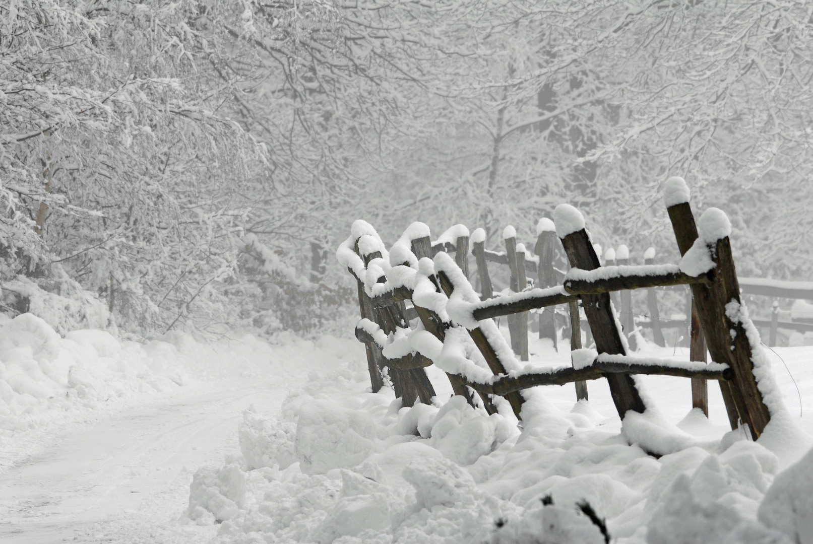 Schneebedeckt