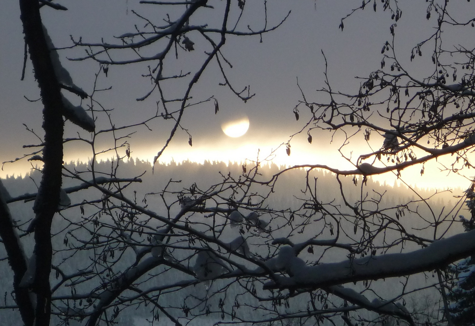 Schneebedeckte Äste und ein Sonnenuntergang..