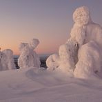 Schneebedeckte Bäume