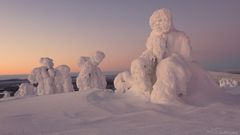 Schneebedeckte Bäume