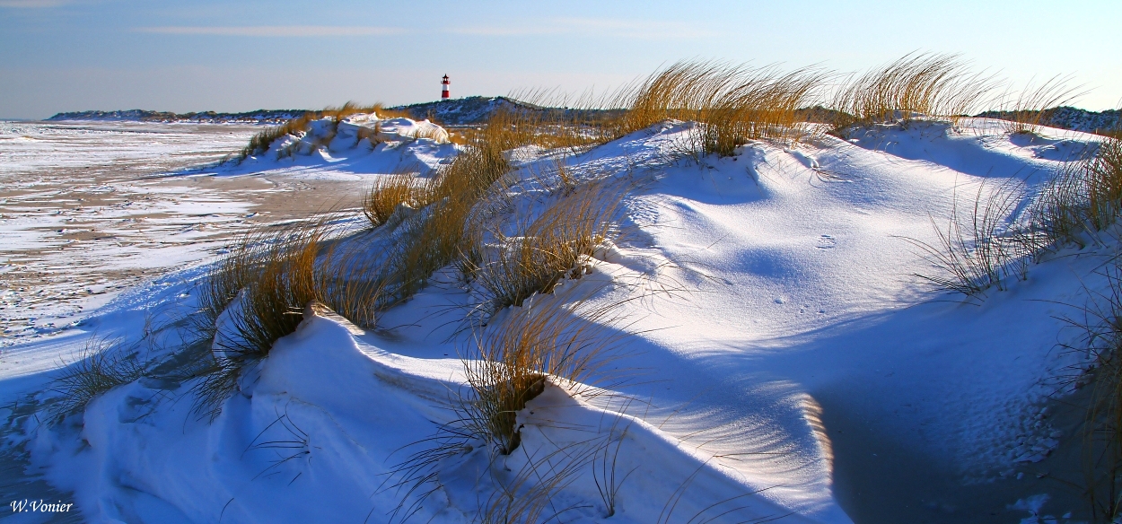 Schneebedeckte Dünenlandschaft auf Sylt