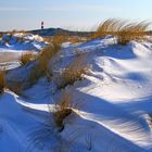 Schneebedeckte Dünenlandschaft auf Sylt